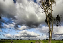 必赢亚洲官网：国足主帅伊万现场观战国安vs蓉城，两队均拥有多位国脚.