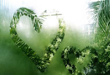 必赢亚洲官网：国足第四个主场确定为杭州，明年3月25日迎战澳大利亚队@北京日报.