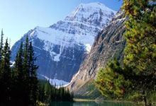 必赢亚洲官网：德甲综合：勒沃库森大胜法兰克福.