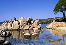 必赢亚洲官网：不是曼奇尼？罗马诺称莫塔即将下课 两优点让尤文选择昔日名宿.